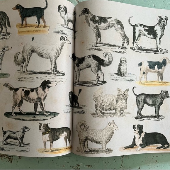 🆕 John Derian JUMBO XL Coffee Table Book NWT
SEALED - Picture 9 of 12